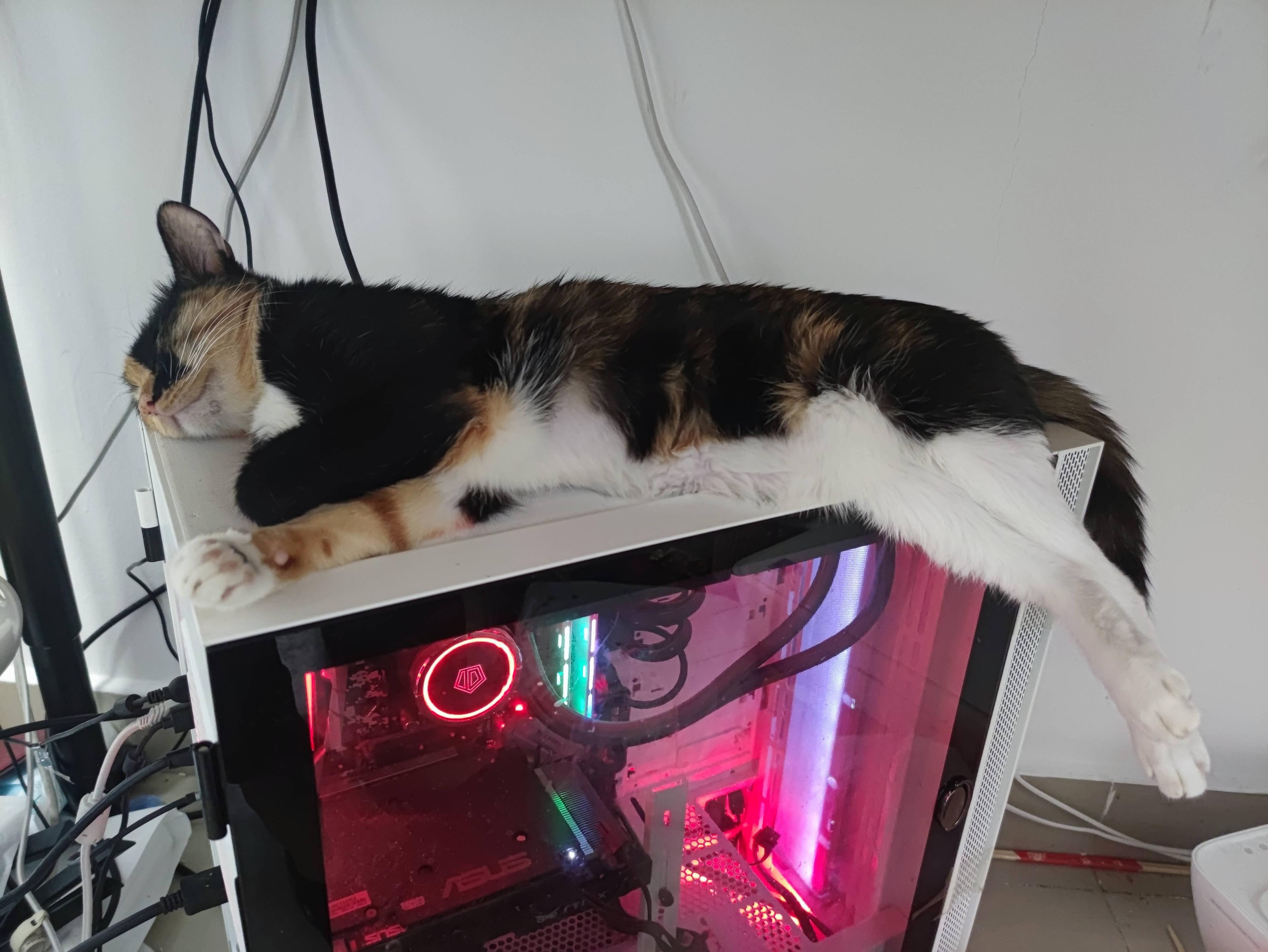 cola sleep on my computer